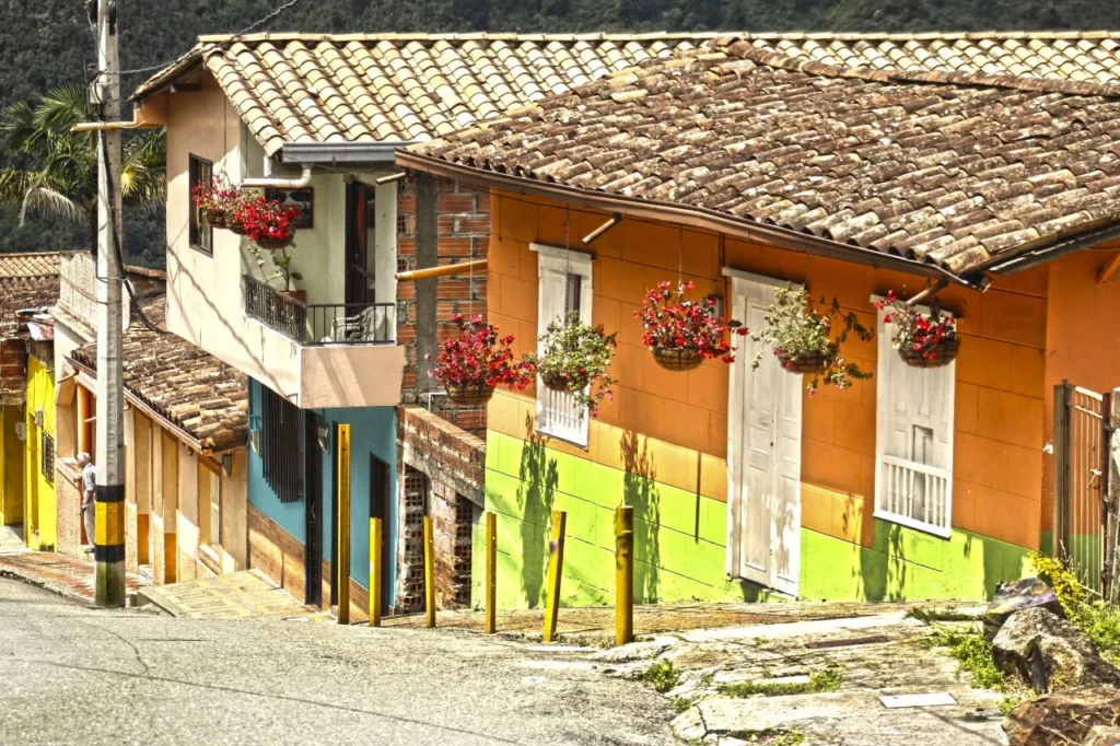 Coffe Tour San Sebastian de Palmitas