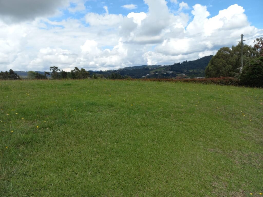 LOTE LA ESPERANZA ALTO LAS PALMAS