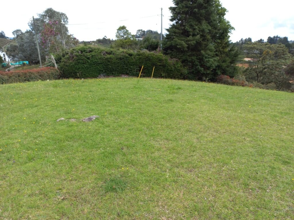 LOTE LA ESPERANZA ALTO LAS PALMAS