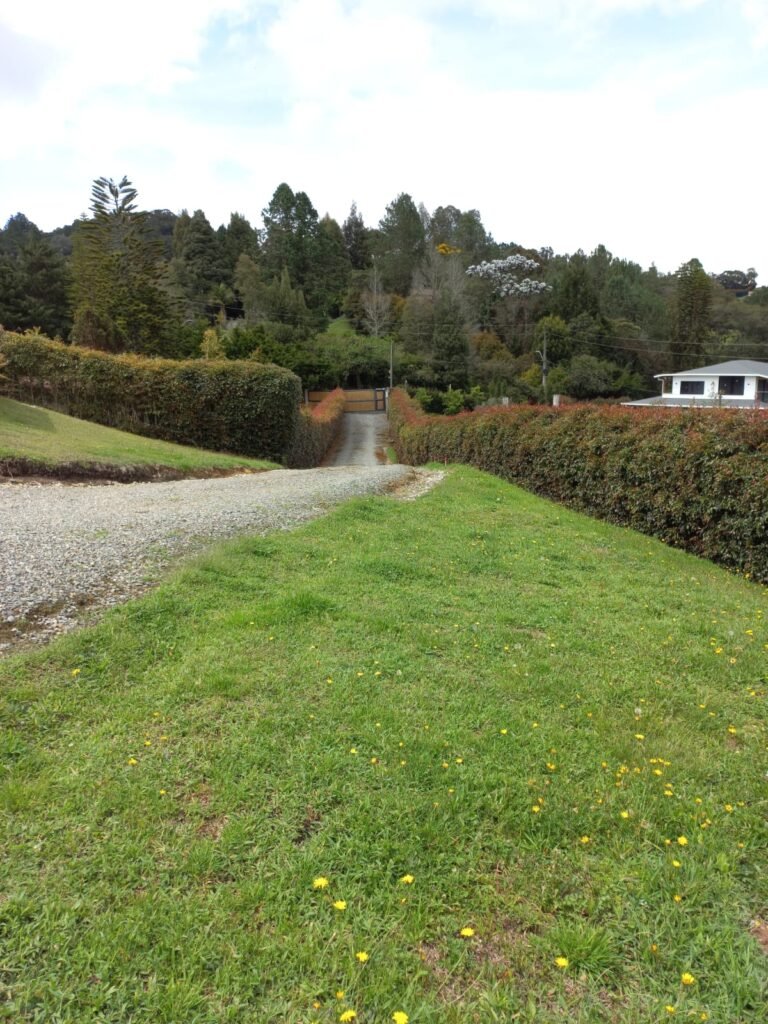 LOTE LA ESPERANZA ALTO LAS PALMAS